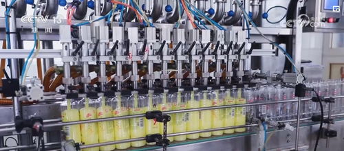 透過數(shù)據(jù)看變化，雙11購物熱彰顯消費(fèi)市場活力與電子商務(wù)服務(wù)提升